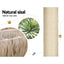 PET-CAT-RATTAN02-GR-139206-03.jpg