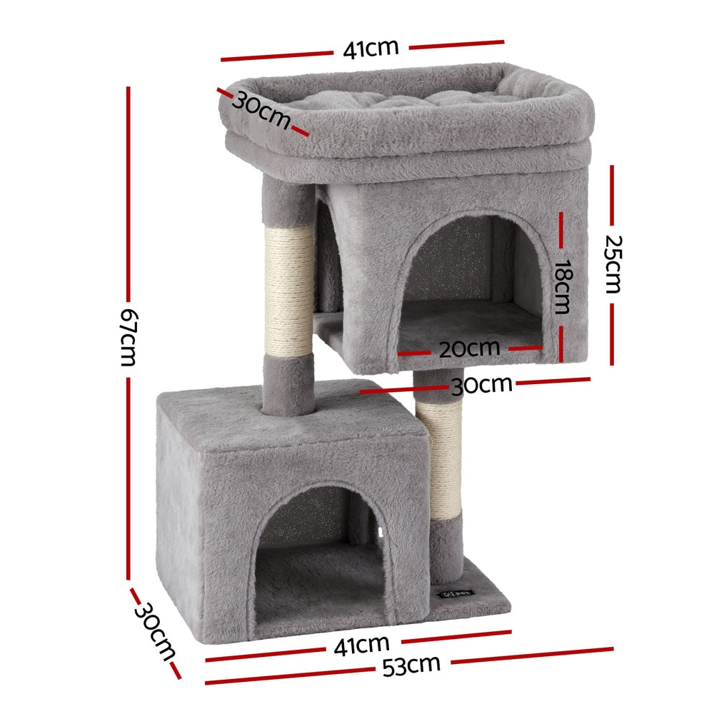 PET-CAT-S67-LTGR-202506191533-01.jpg
