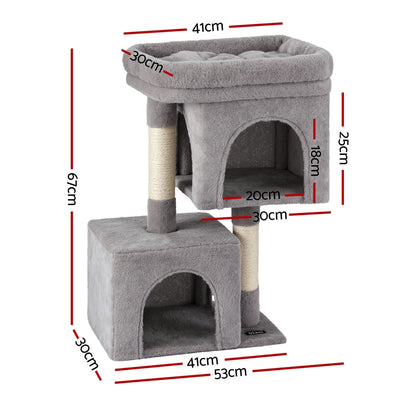 PET-CAT-S67-LTGR-202506191533-01.jpg