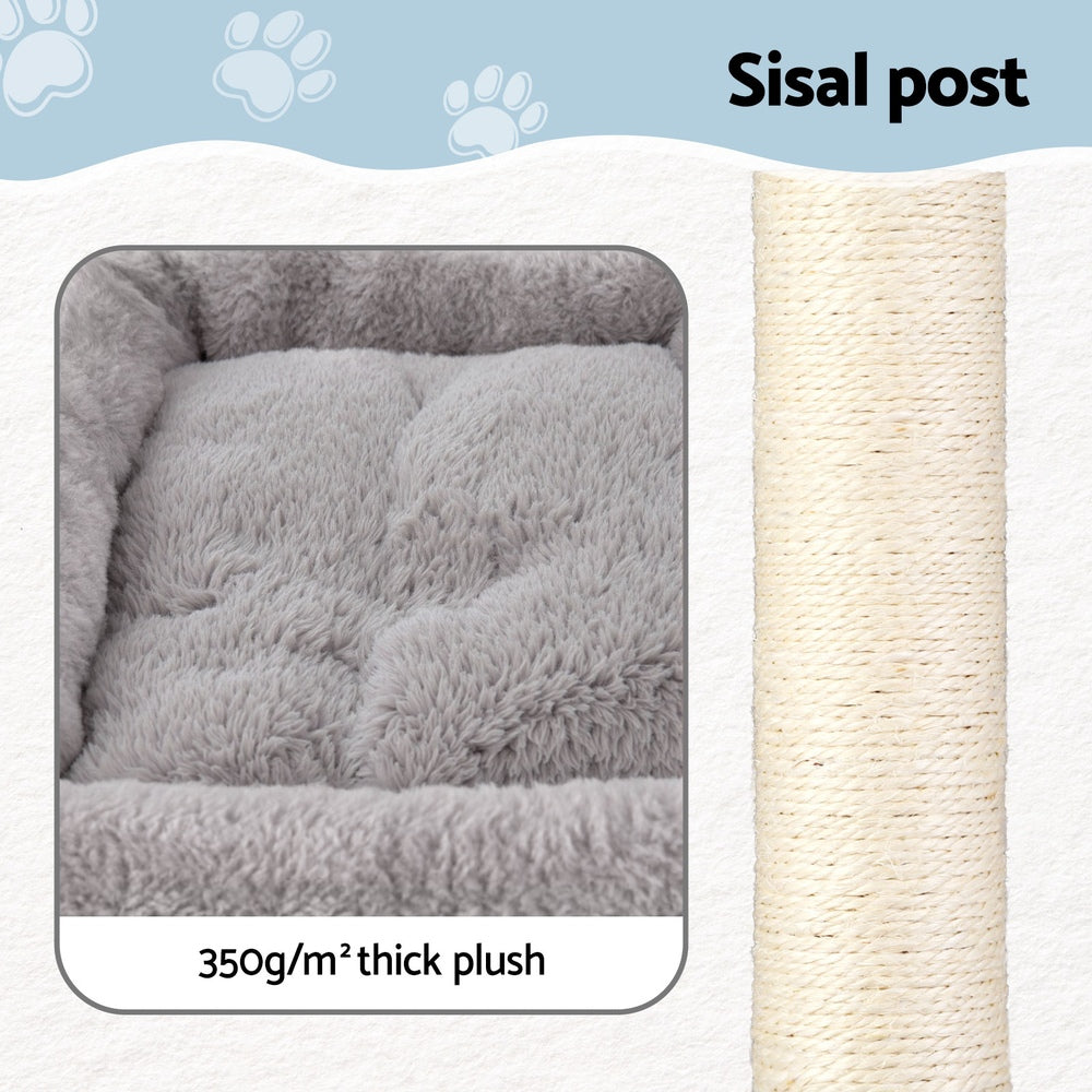 PET-CAT-S67-LTGR-202506191533-05.jpg