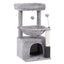 PET-CAT-S82-LTGR-202601161226-00.jpg
