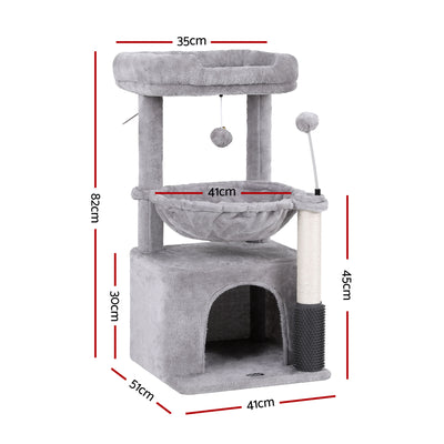 PET-CAT-S82-LTGR-202601161226-01.jpg