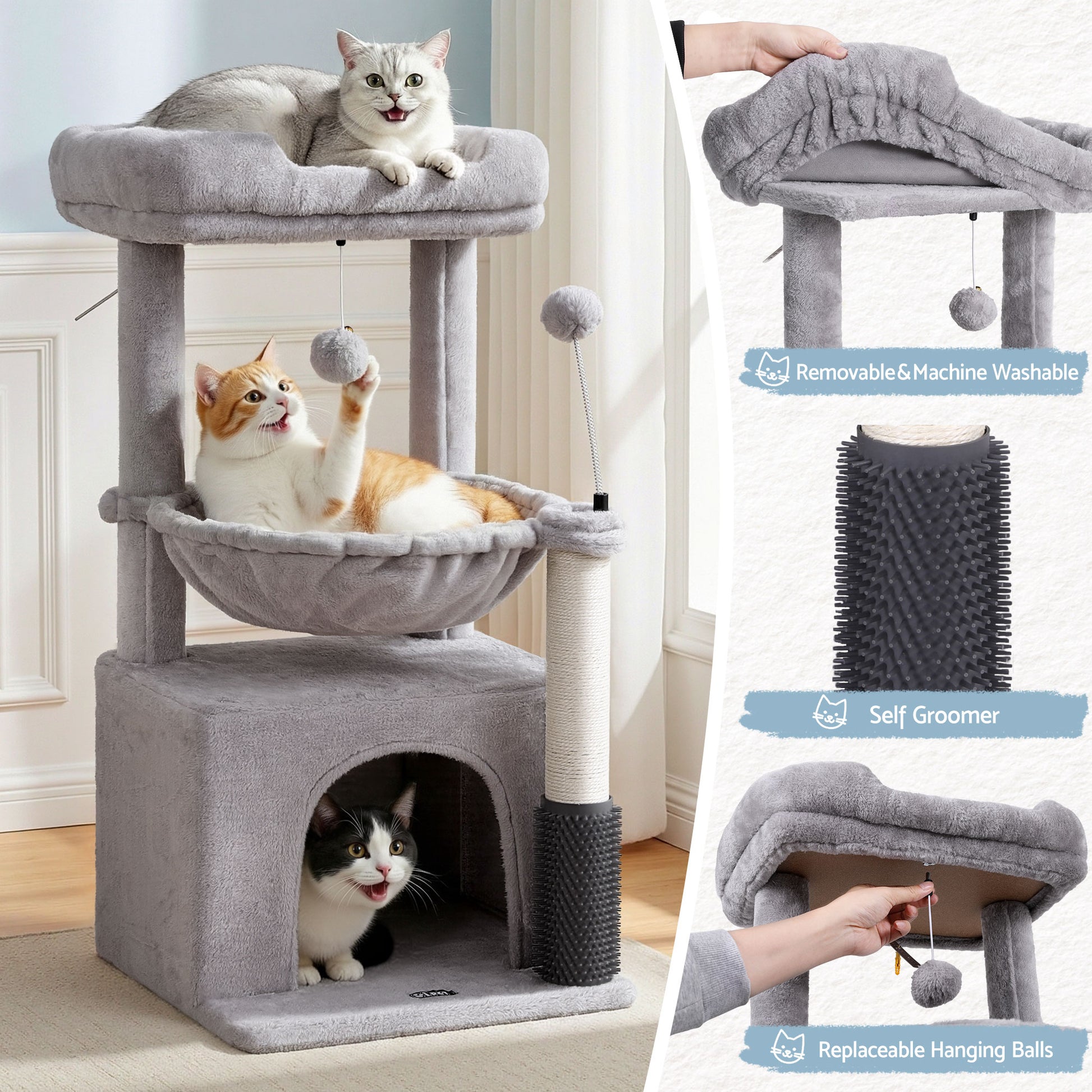 PET-CAT-S82-LTGR-202601161226-03.jpg