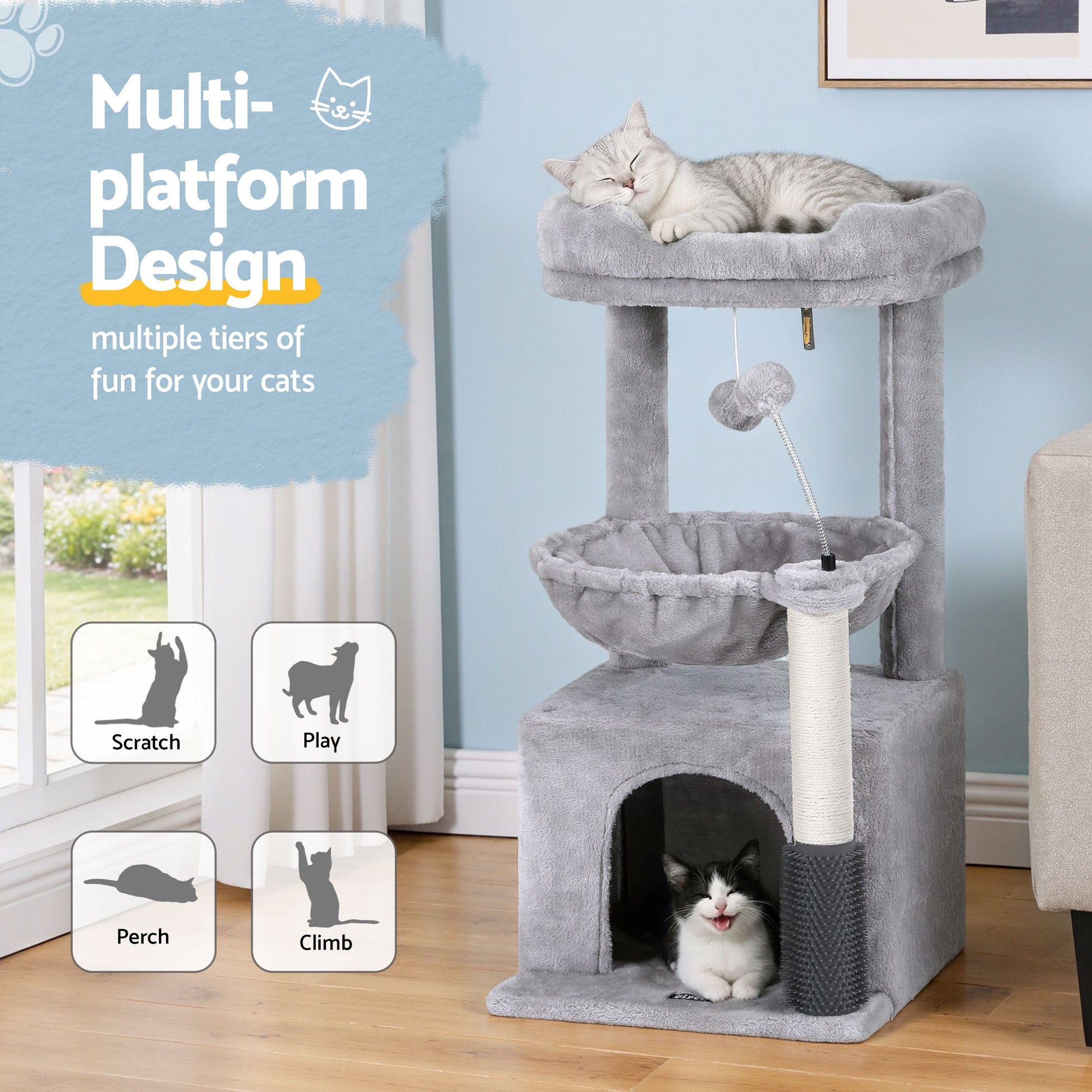PET-CAT-S82-LTGR-202601161226-04.jpg