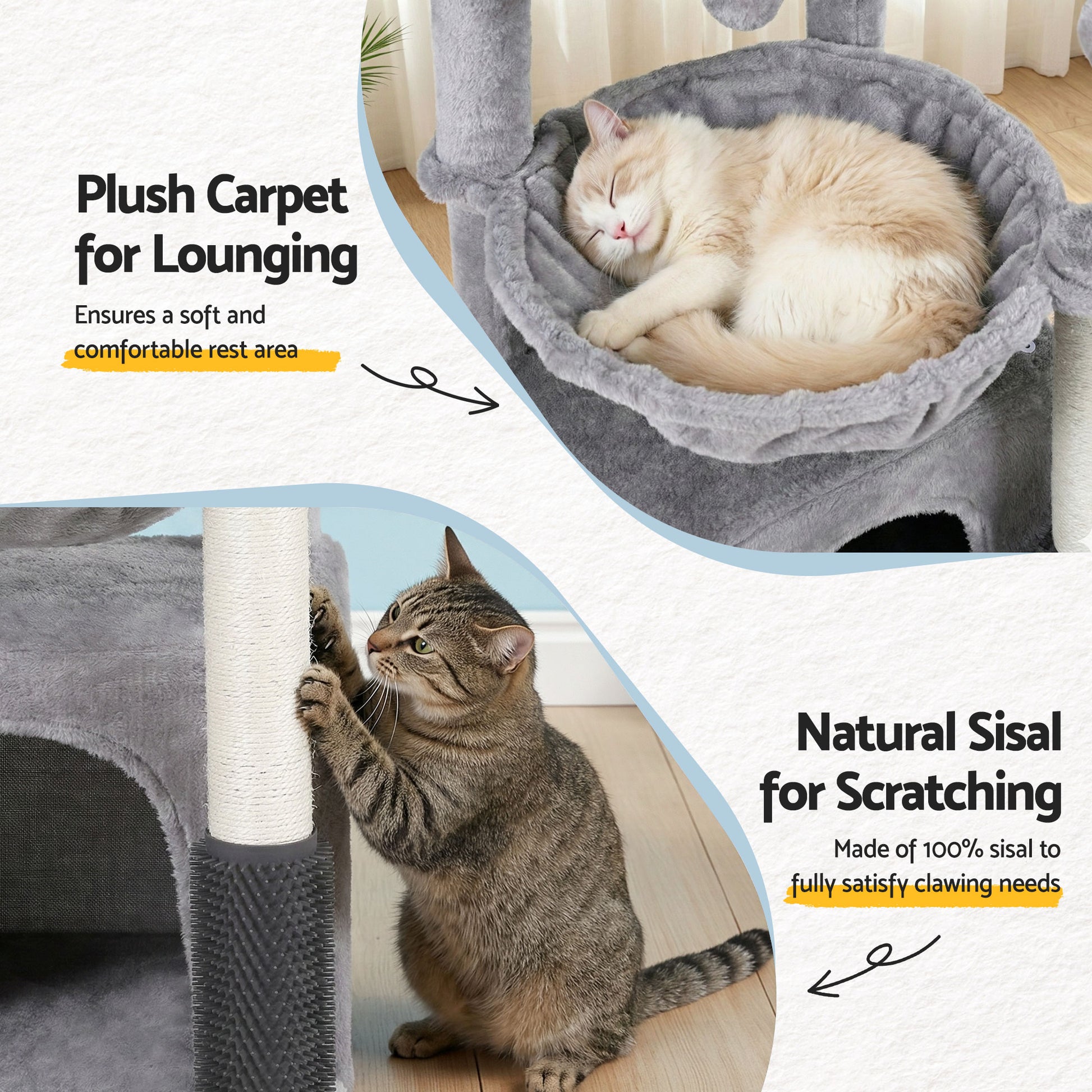 PET-CAT-S82-LTGR-202601161226-07.jpg