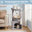 PET-CAT-S82-LTGR-202601161226-08.jpg