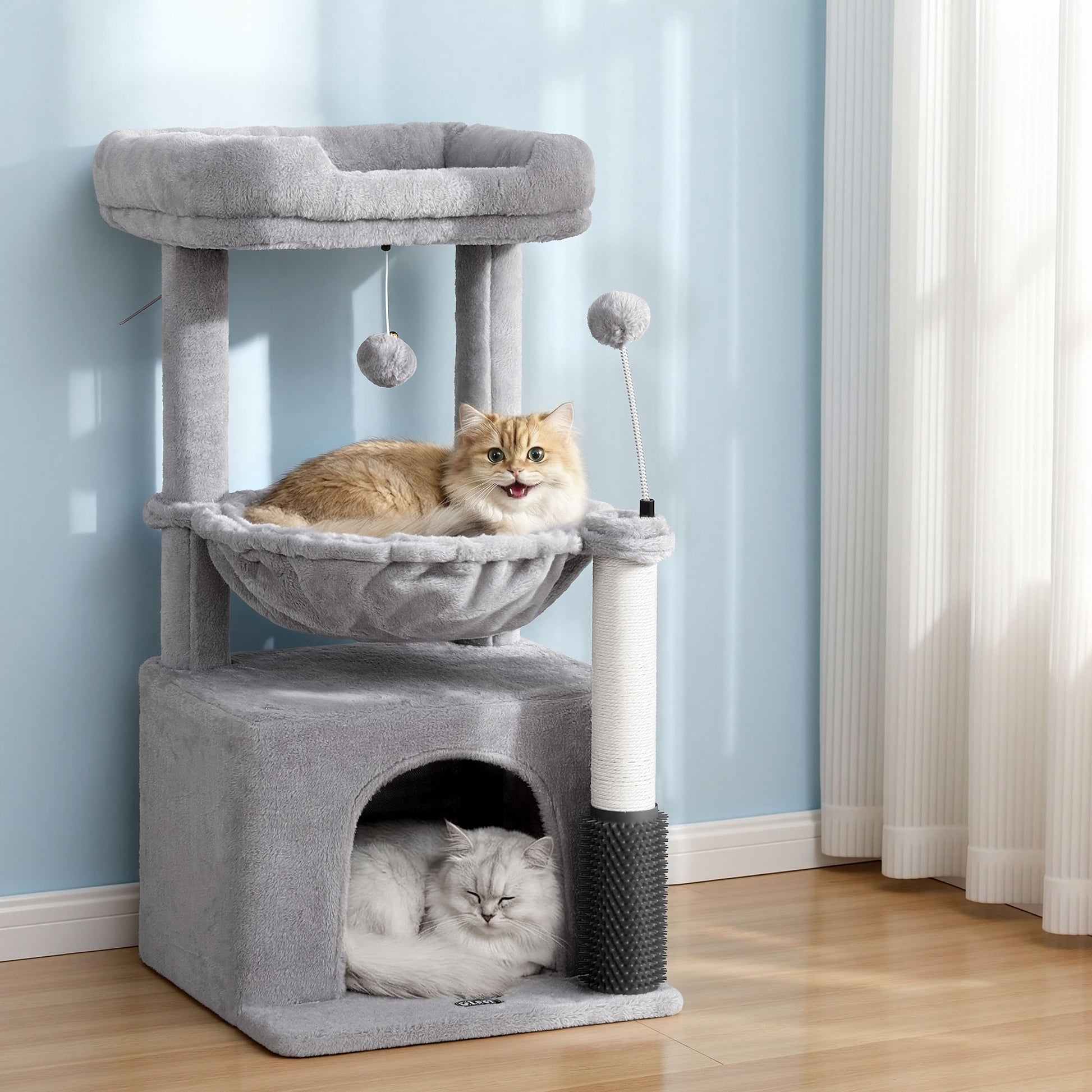 PET-CAT-S82-LTGR-202601161226-09.jpg