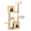 PET-CAT-WOOD02-BE-89856-00.jpg