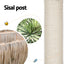 PET-CAT-WOOD142-BE-202502281808-00.jpg