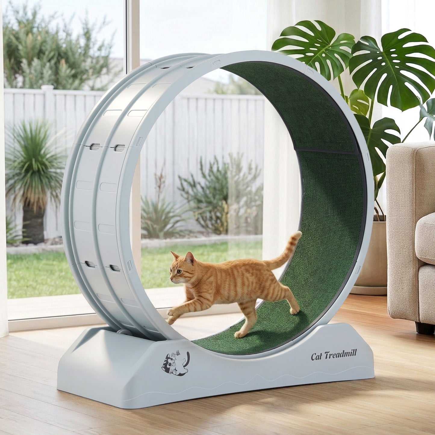 PET-CEW-D85-PLS-GR-202603121826-08.jpg