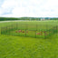 i.Pet Chicken Fence Electric 50Mx125CM Poultry Netting