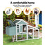 PET-CH-100-GW-202502281810-03.jpg