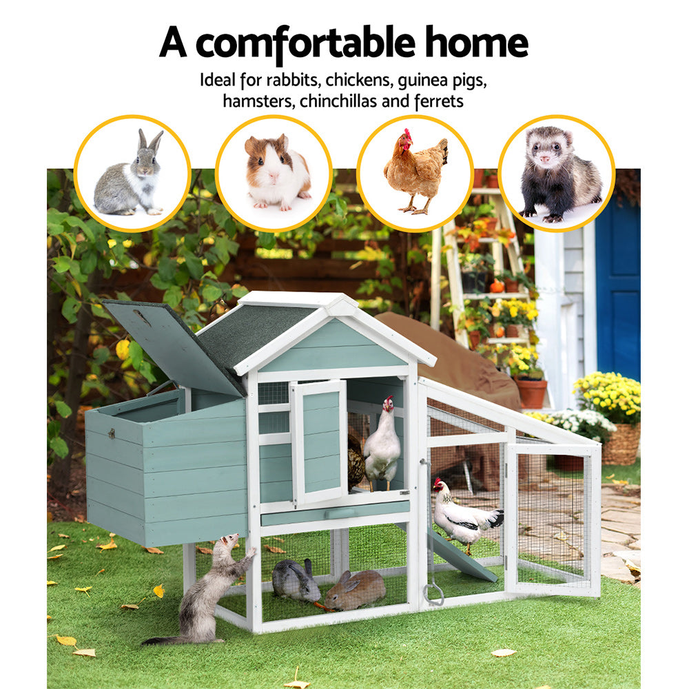 PET-CH-100-GW-202502281810-03.jpg