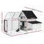 PET-CH-310026-WH-AB-202502281810-01.jpg
