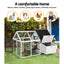 PET-CH-310026-WH-AB-202502281810-03.jpg