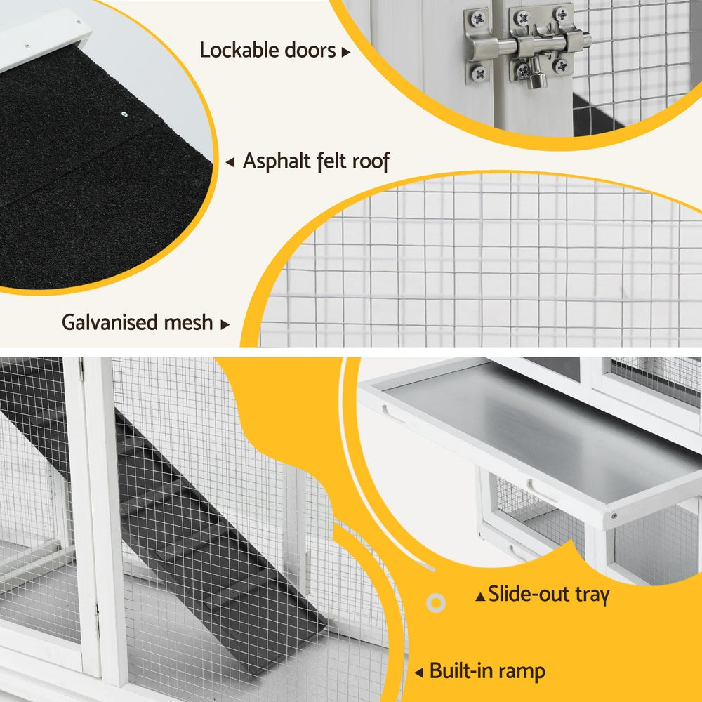 PET-CH-3TRAY-GR-AB-189526-05.jpg