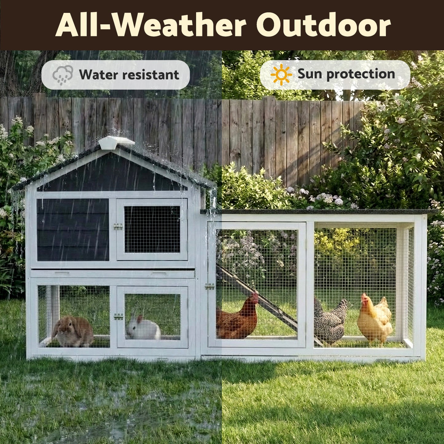 PET-CH-3TRAY-GR-AB-202603111542-04.jpg
