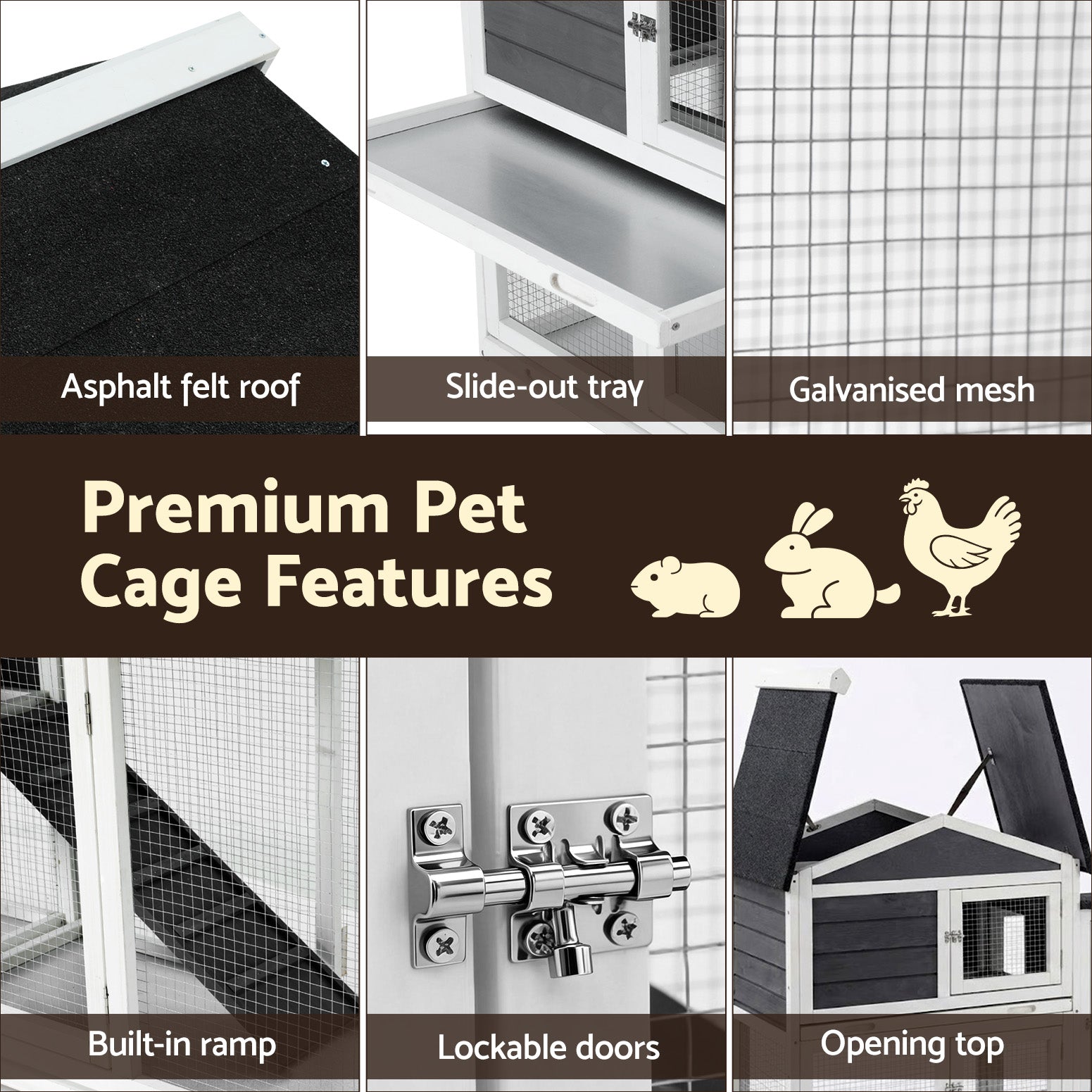 PET-CH-3TRAY-GR-AB-202603111542-05.jpg