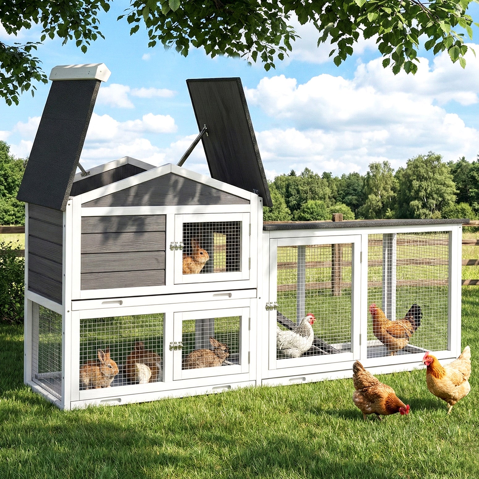 PET-CH-3TRAY-GR-AB-202603111542-07.jpg
