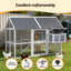 PET-CH-P213-GR-AB-202512091632-03.jpg