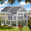 PET-CH-P213-GR-AB-202512091632-06.jpg