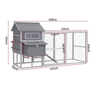 PET-CH-P228-GR-AB-202509161310-01.jpg