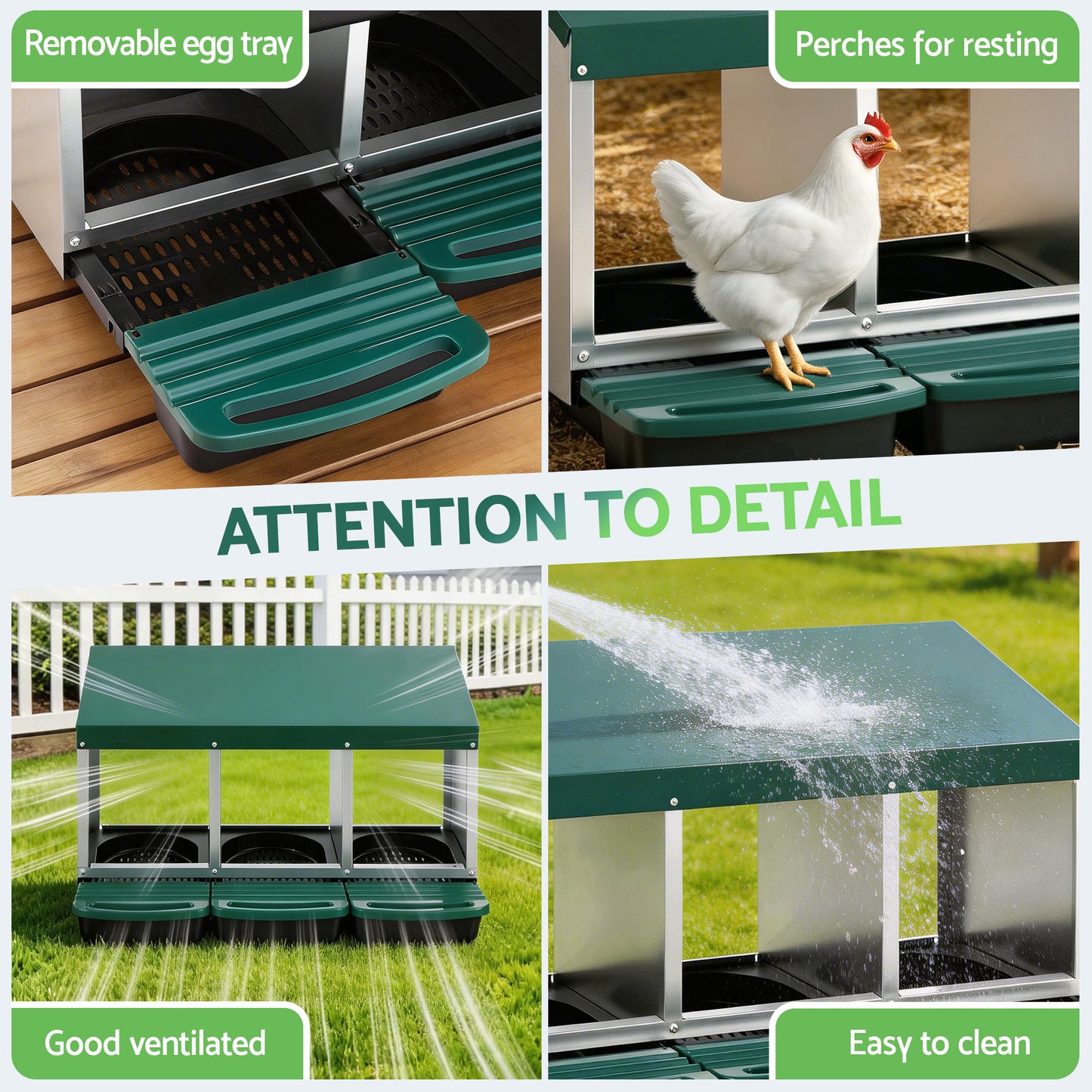 PET-CHICK-BOX-3H-GN-202603121826-06.jpg