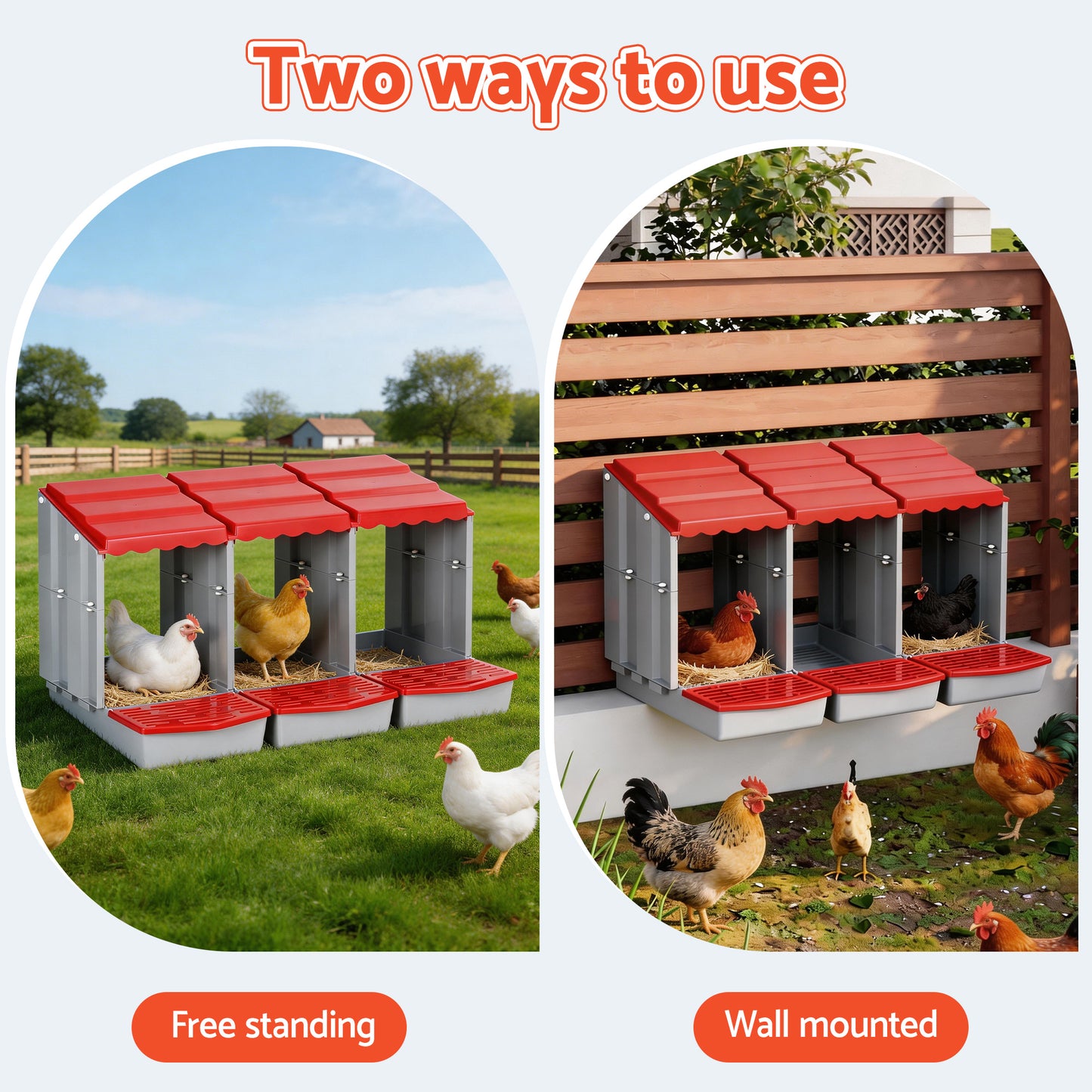 PET-CHICK-BOX-3HF-RD-202602271638-03.jpg