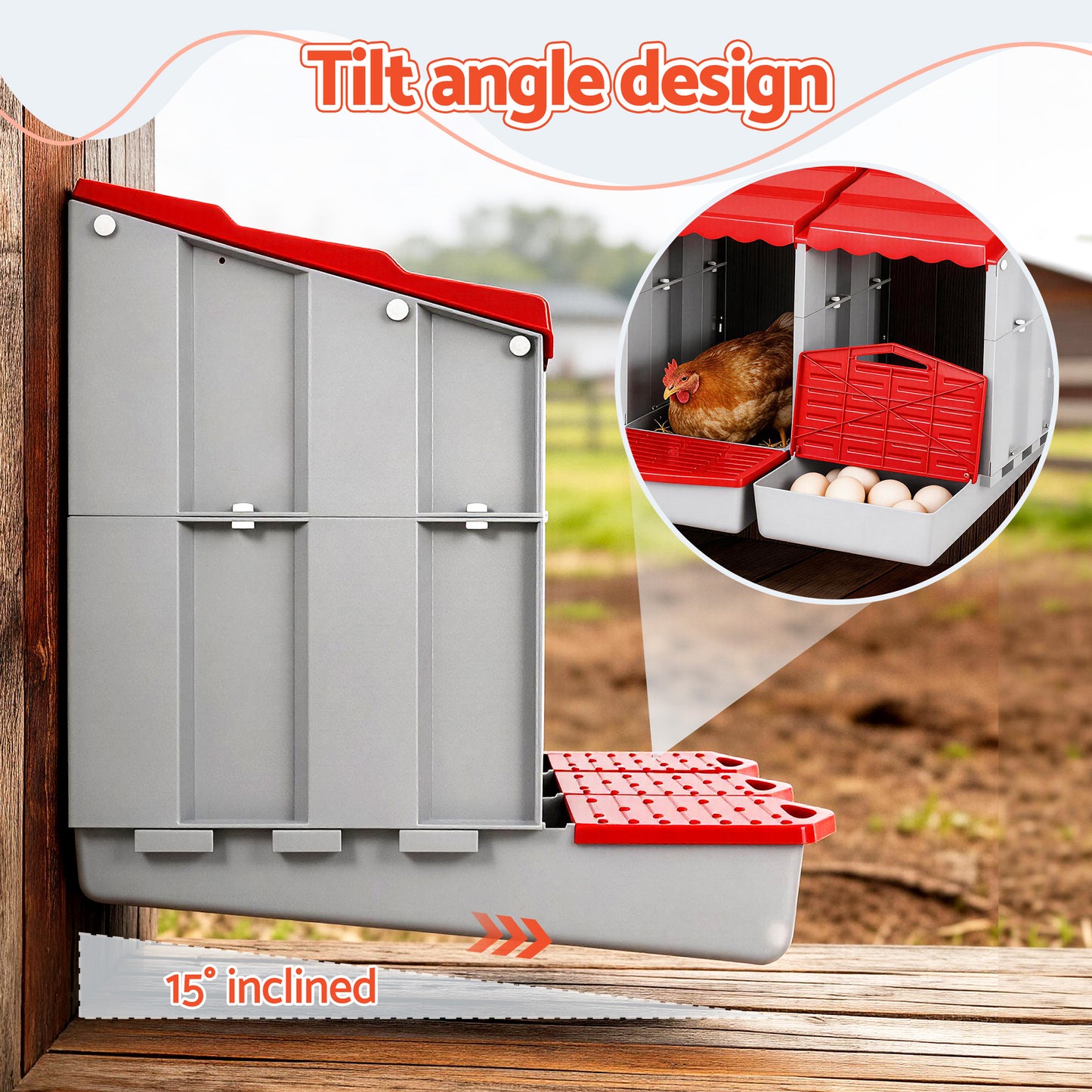 PET-CHICK-BOX-3HF-RD-202602271638-04.jpg