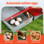 PET-CHICK-BOX-3HF-RD-202602271638-05.jpg