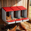 PET-CHICK-BOX-3HF-RD-202602271638-07.jpg