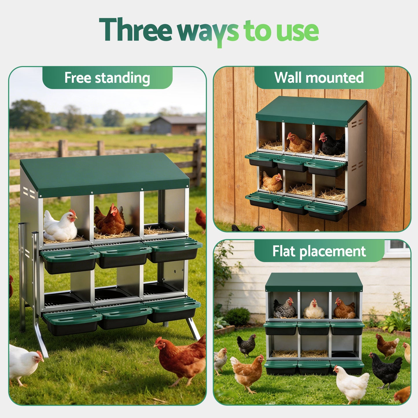 PET-CHICK-BOX-6H-EL-GN-202603051538-03.jpg