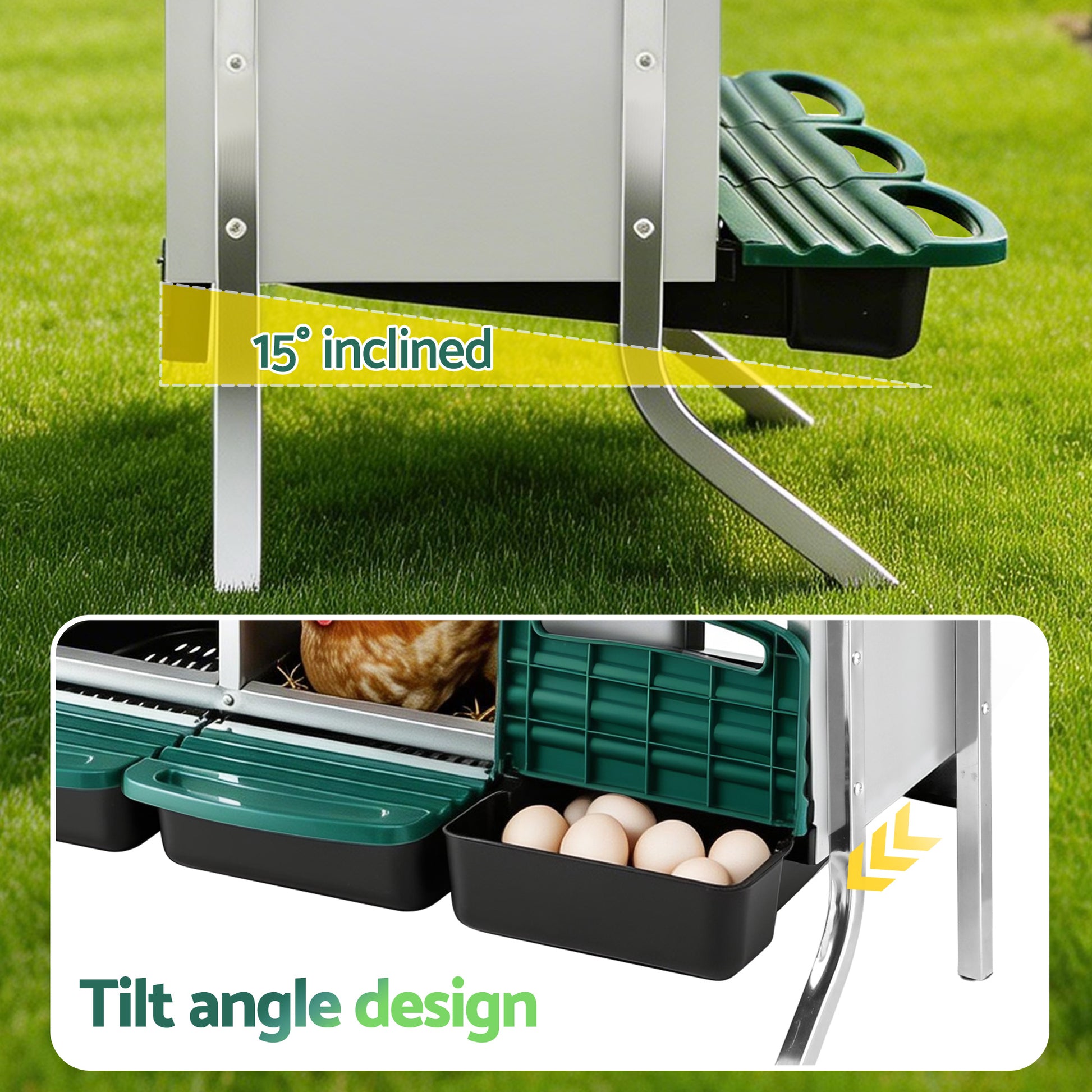 PET-CHICK-BOX-6H-EL-GN-202603051538-04.jpg