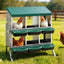 PET-CHICK-BOX-6H-EL-GN-202603051538-07.jpg