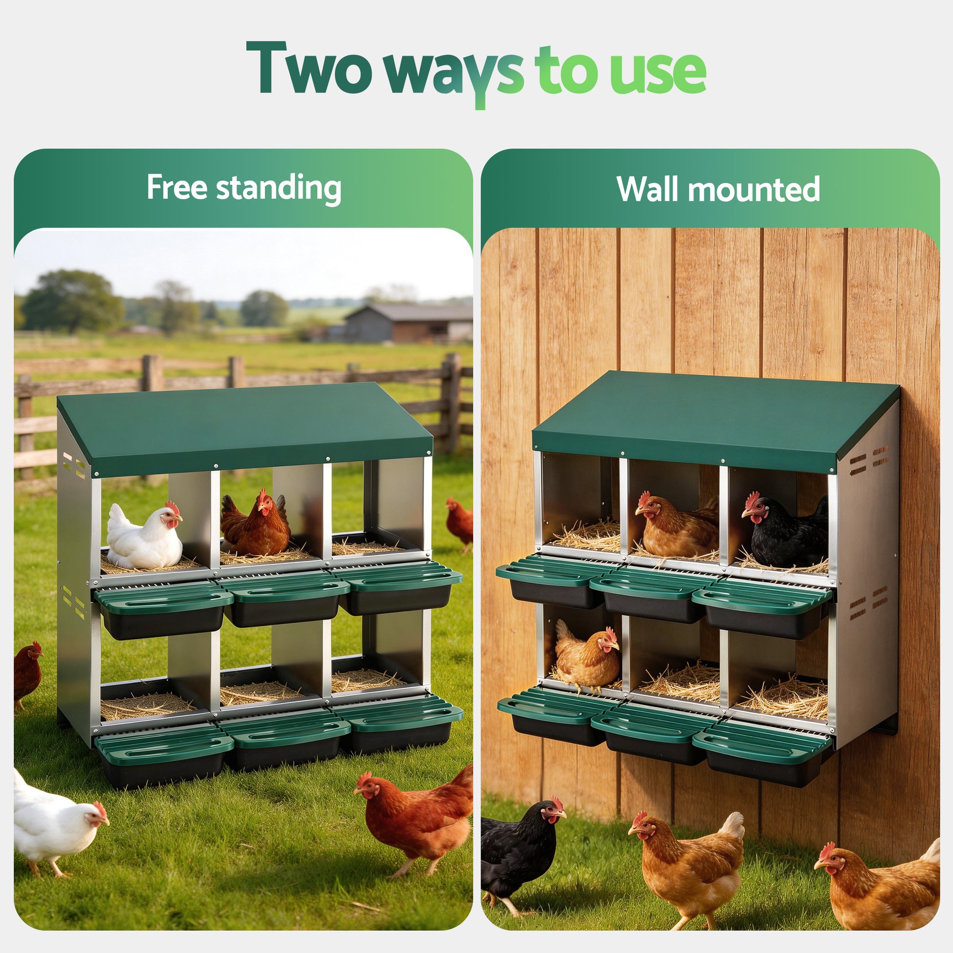 PET-CHICK-BOX-6H-GN-202603051538-03.jpg