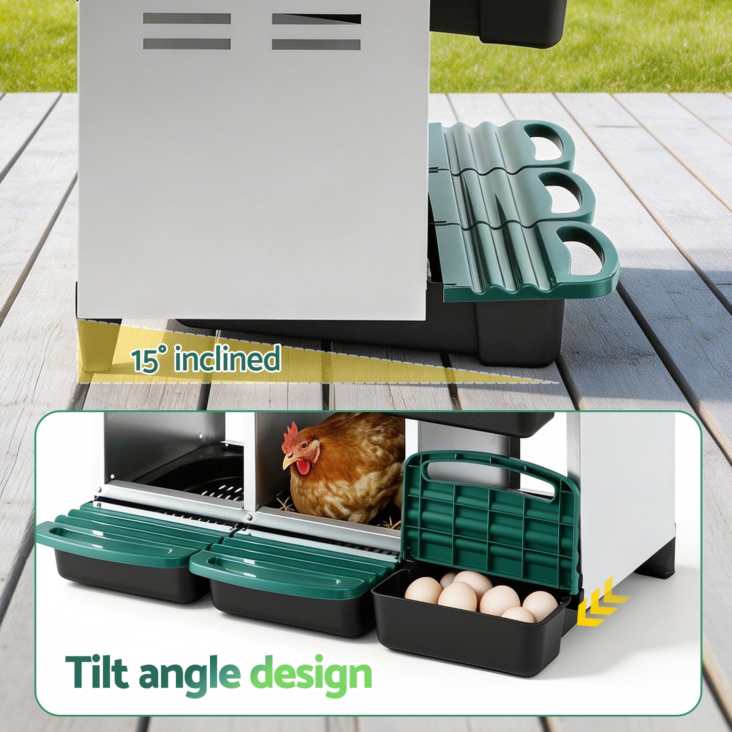 PET-CHICK-BOX-6H-GN-202603051538-04.jpg