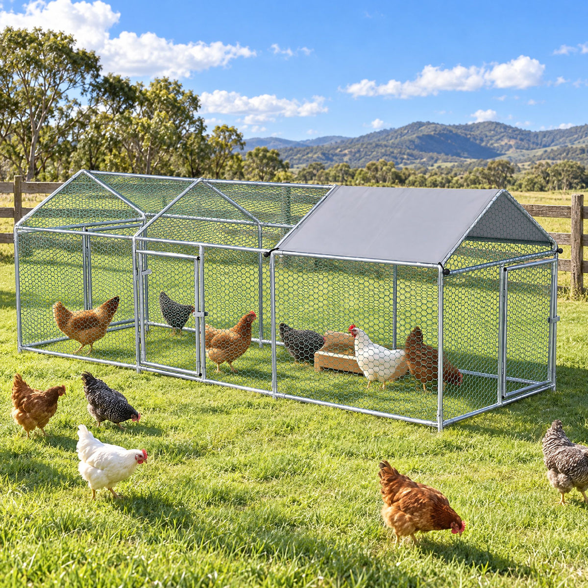 PET-CHICK-CAGE-3X1-00.jpg