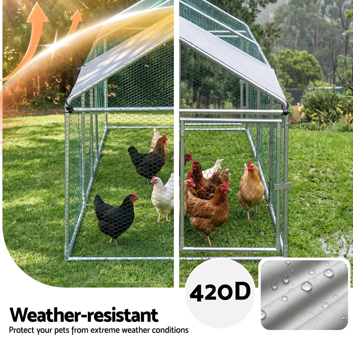 PET-CHICK-CAGE-3X1-06.jpg