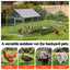 PET-CHICK-CAGE-3X1-08.jpg