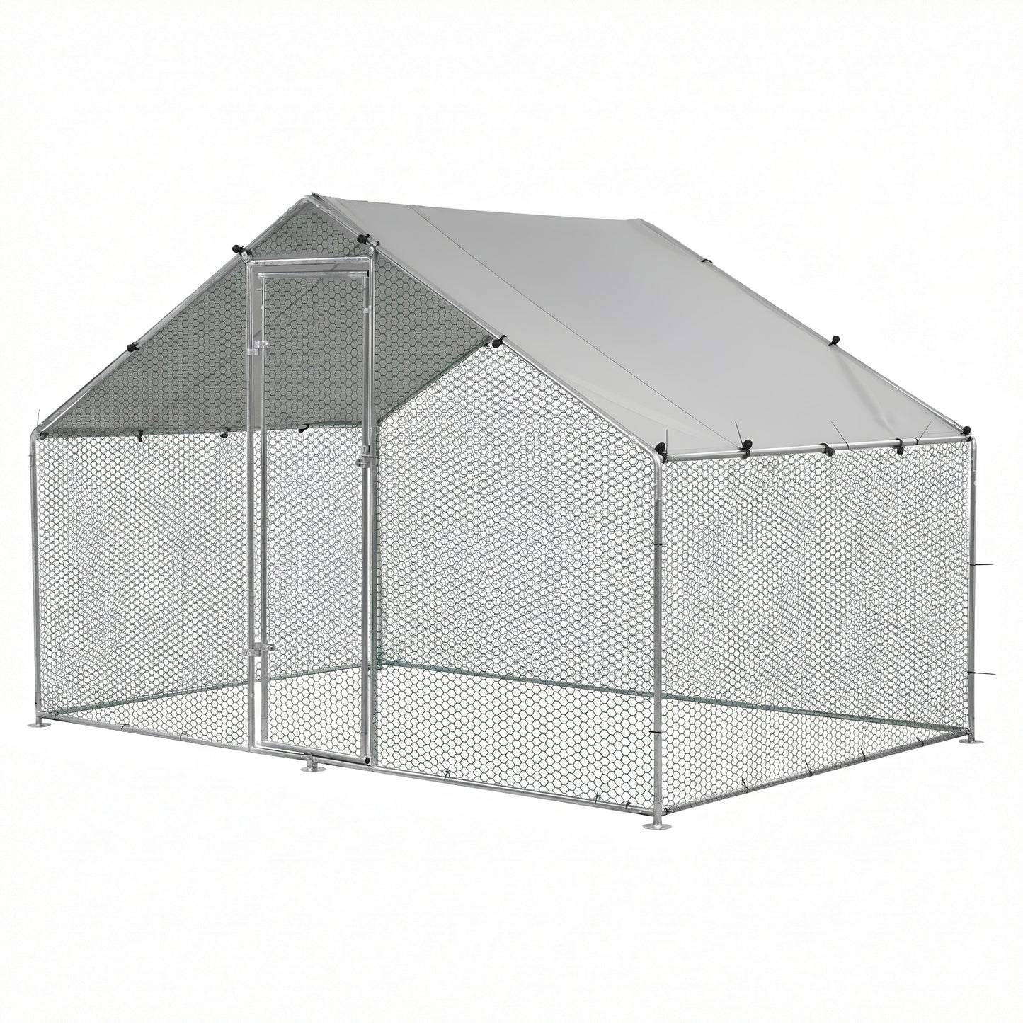 PET-CHICK-CAGE-B-2X3-202602091912-00.jpg