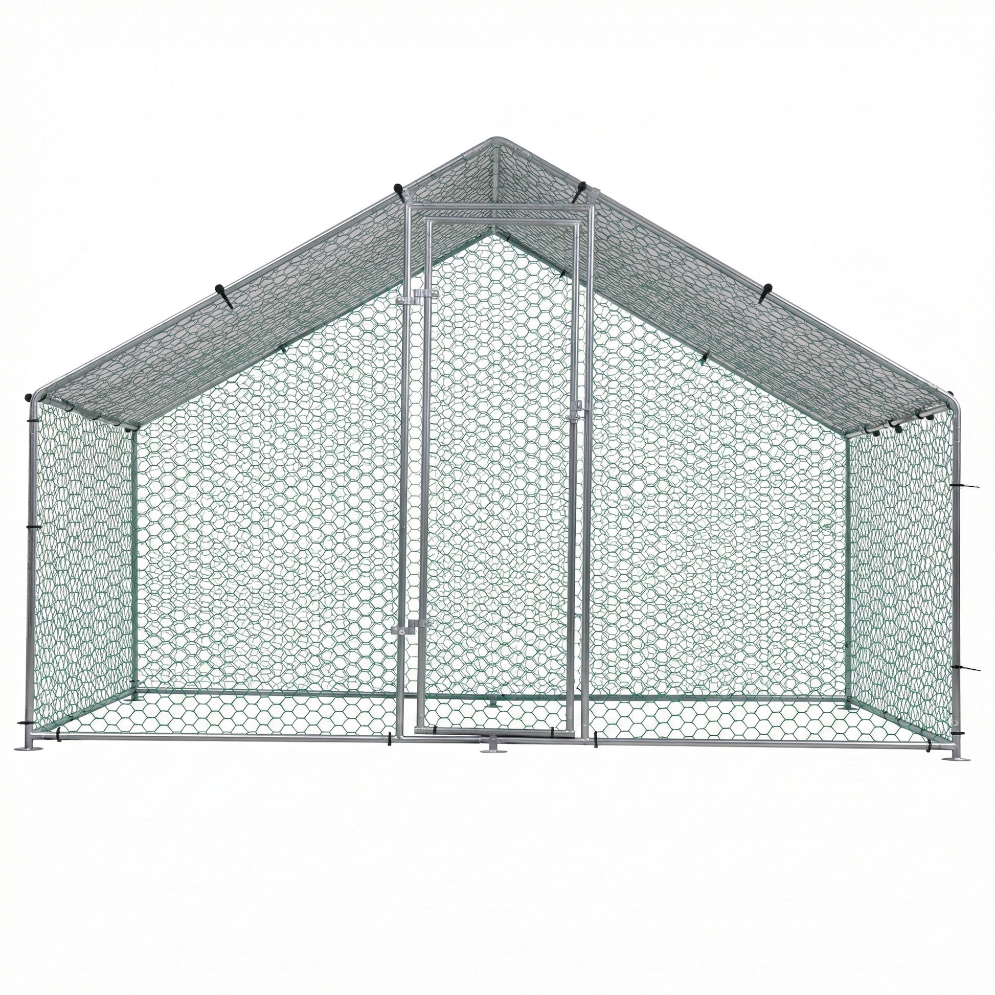 PET-CHICK-CAGE-B-2X3-202602091912-02.jpg