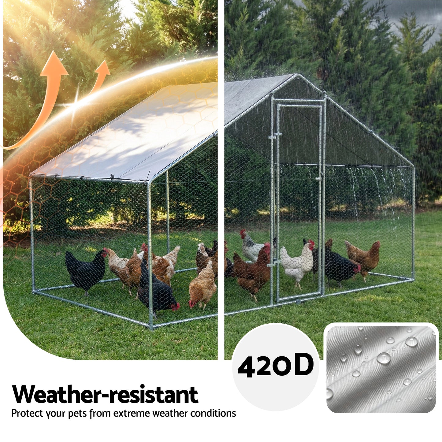 PET-CHICK-CAGE-B-2X3-202602091912-05.jpg