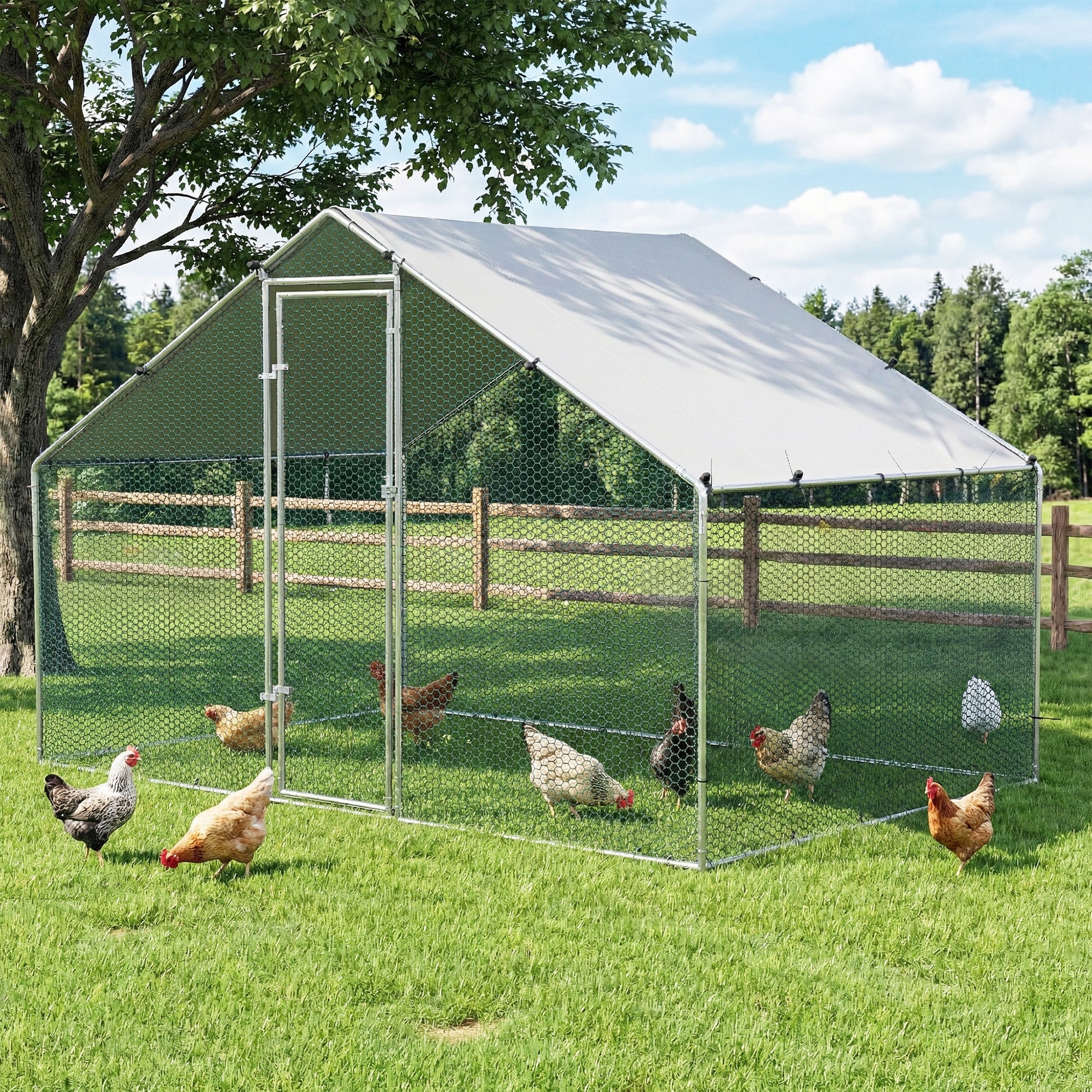 PET-CHICK-CAGE-B-2X3-202602091912-07.jpg