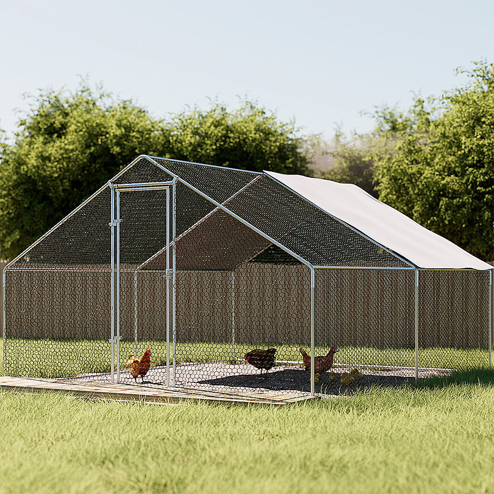 PET-CHICK-CAGE-B-3X4-202502281810-00.jpg