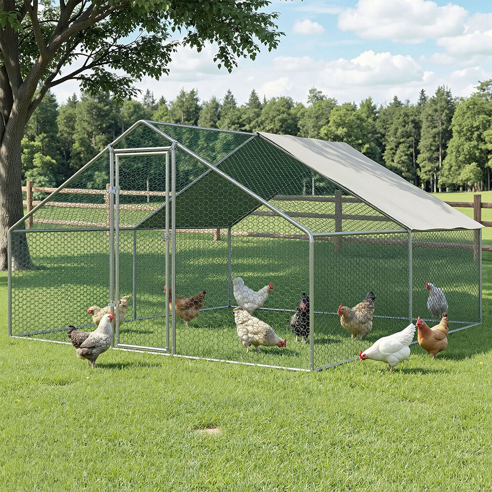 PET-CHICK-CAGE-B-3X4-202604101540-00.jpg
