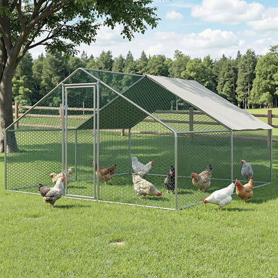 PET-CHICK-CAGE-B-3X4-202604101540-00.jpg