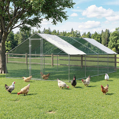 PET-CHICK-CAGE-B-3X8-202604101544-00.jpg