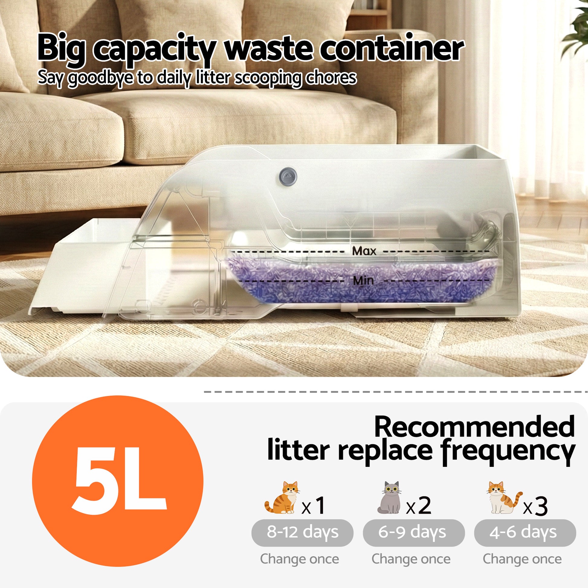 PET-CLB-NC-APP-WH-202603051538-05.jpg