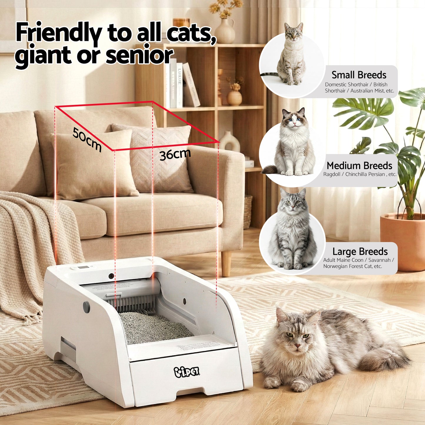 PET-CLB-NC-APP-WH-202603051538-06.jpg