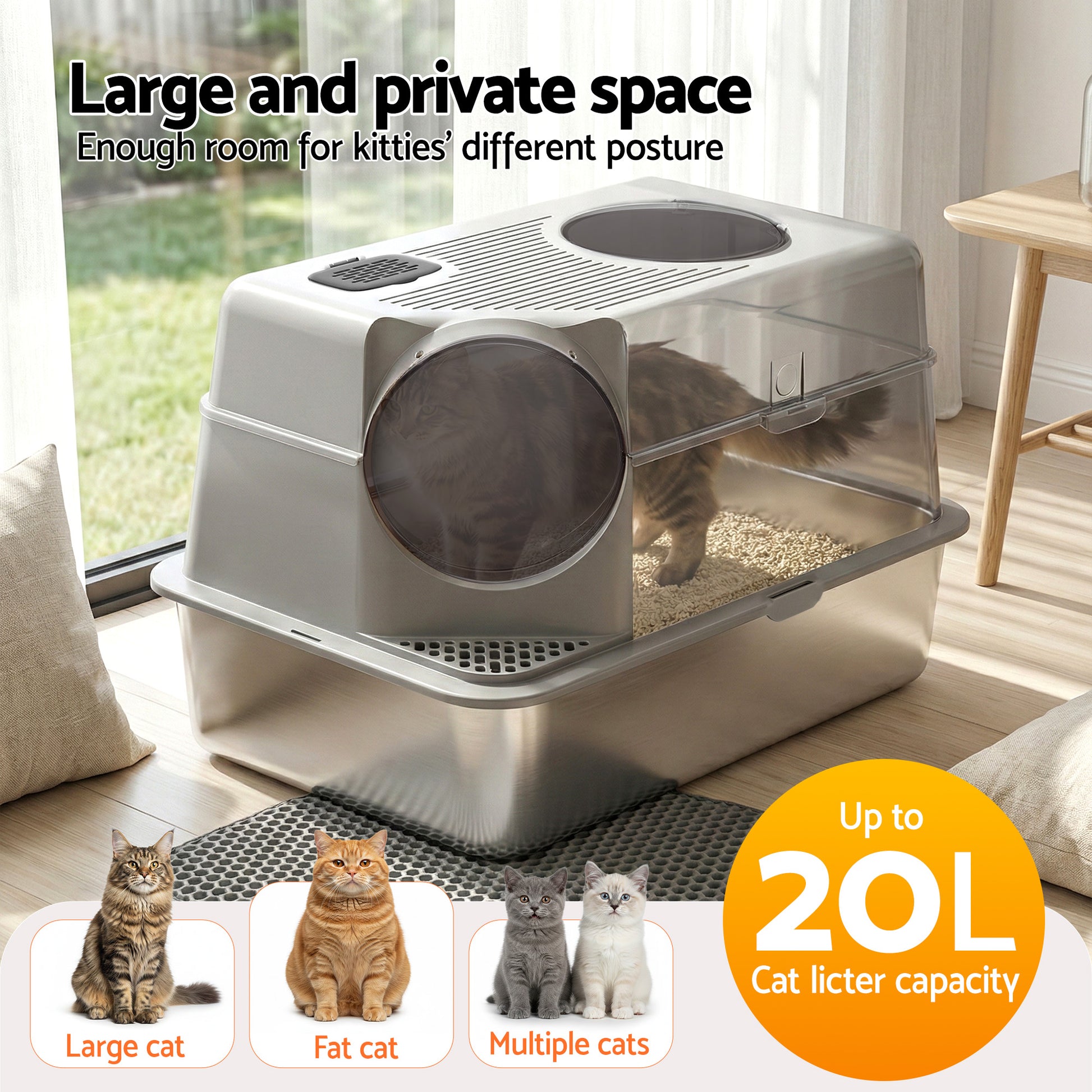 PET-CLB-STL-CV-LTGR-202602121404-05.jpg